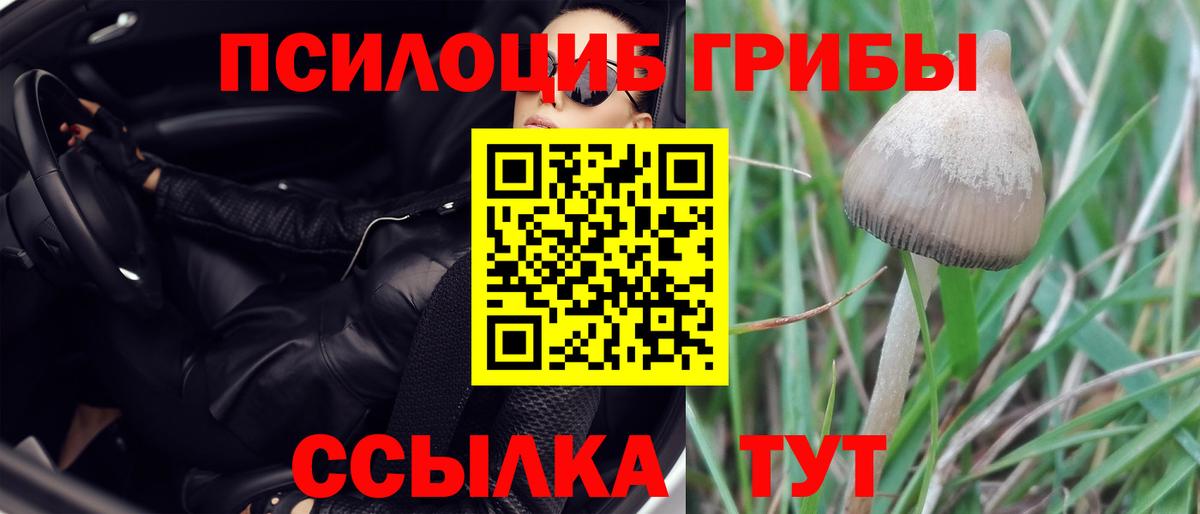 Псилоцибиновые грибы Magic Shrooms Ярославль
