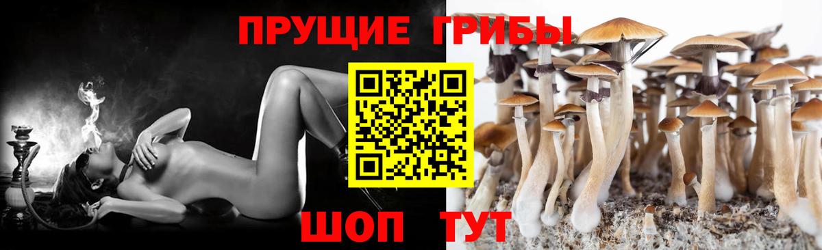 купить  сайты  Псилоцибиновые грибы мухоморы  Вход с VPN  Ярославль 